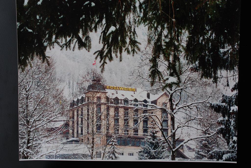 Hotel Edelweiss Engelberg Kültér fotó